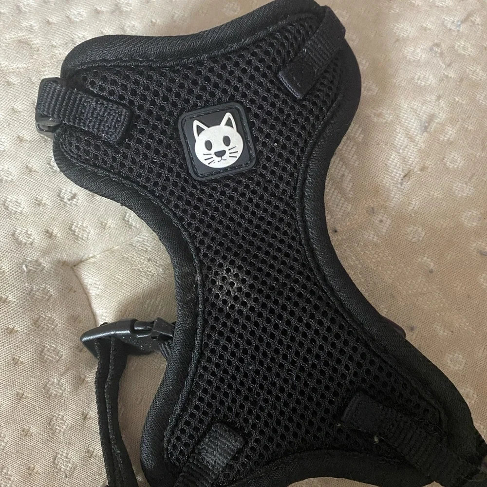 Cat Harness and Leash